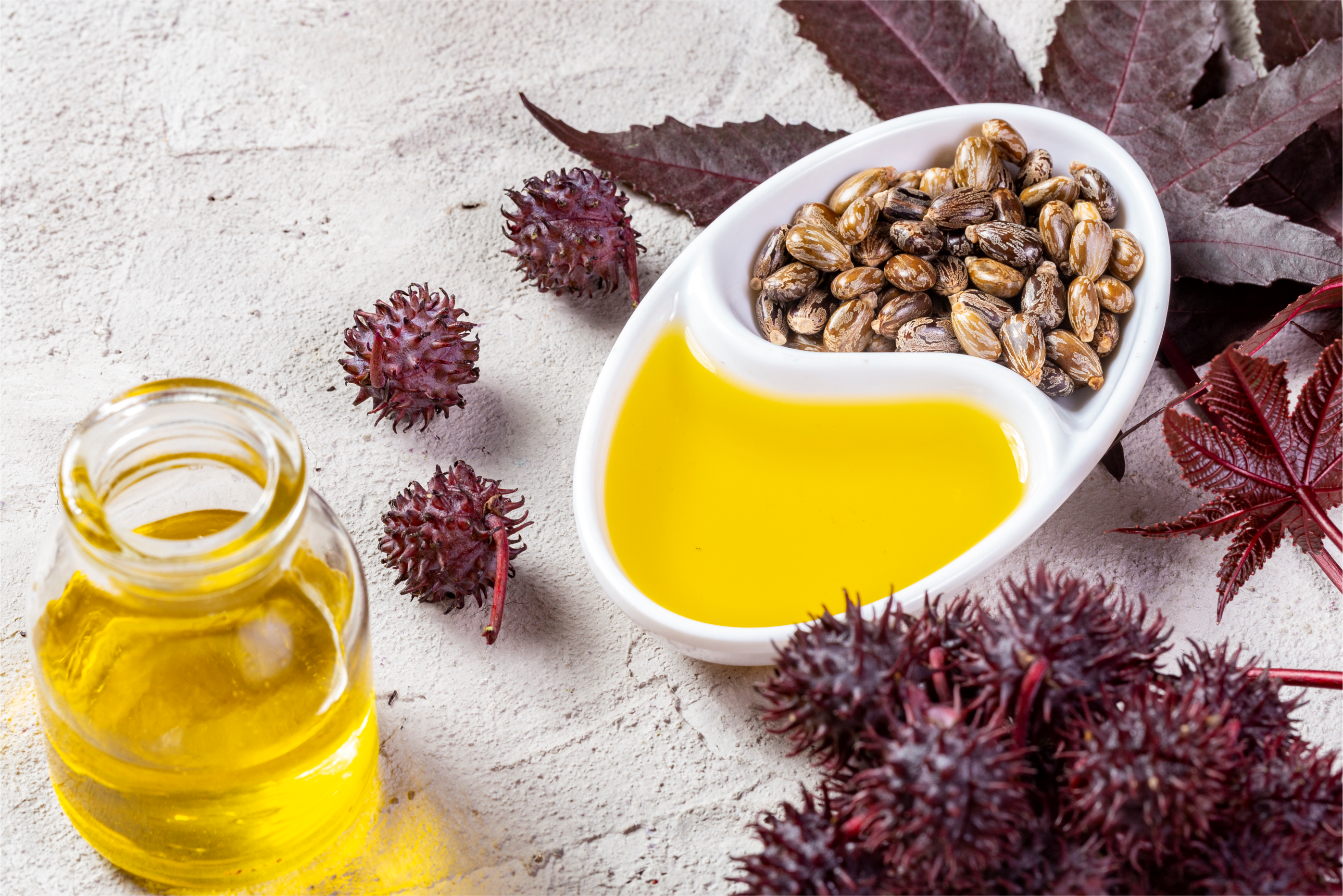 Castor Oil (Ricinus communis oil)