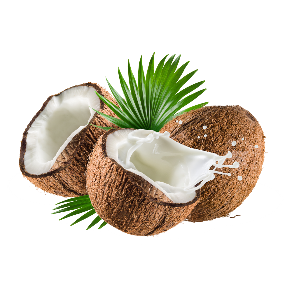 Coconut Oil