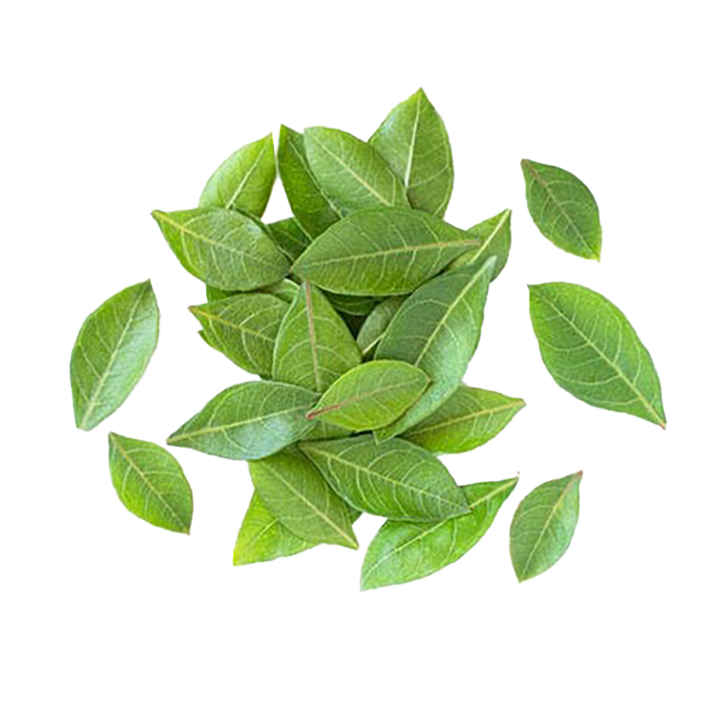 Curry leaves