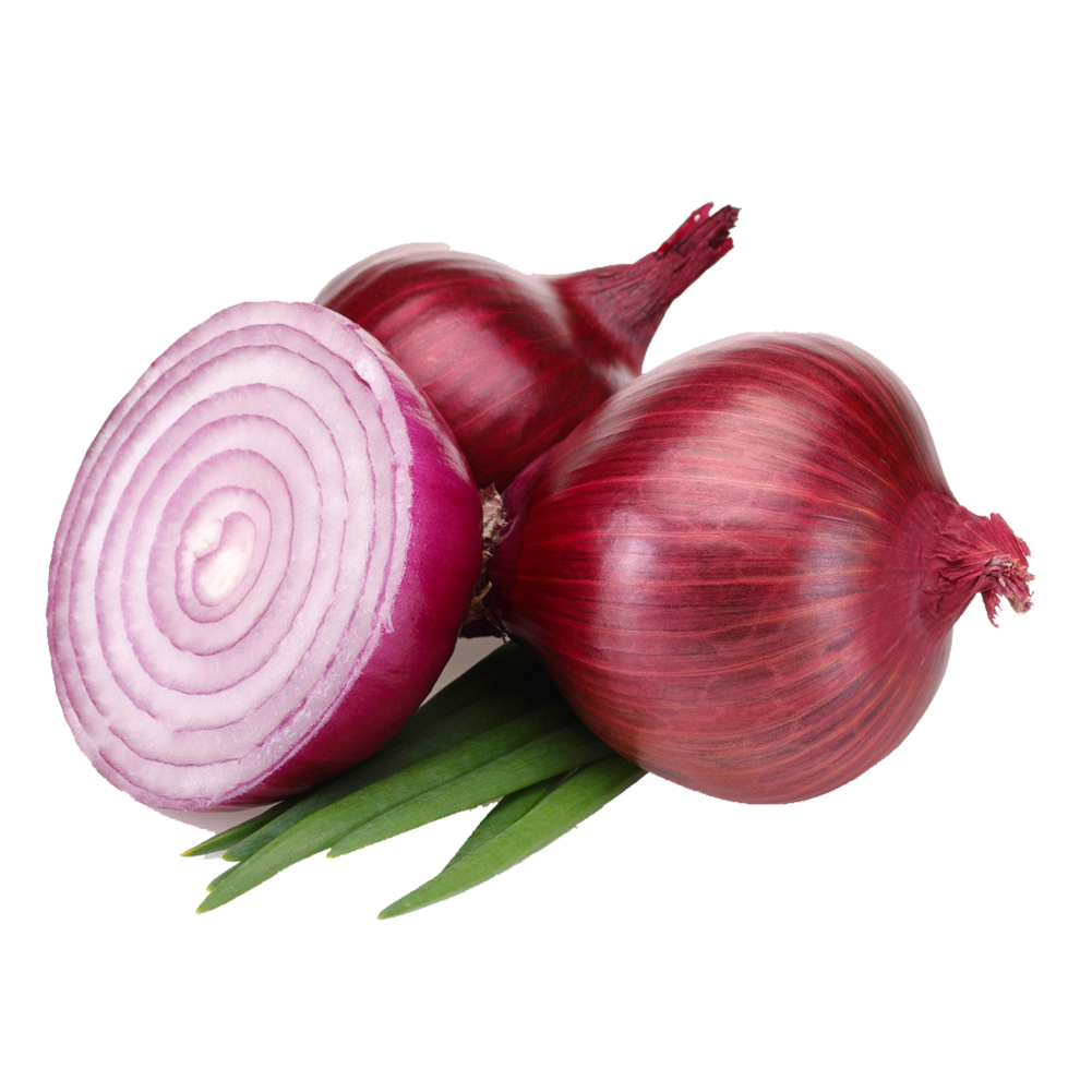 Onion Extract