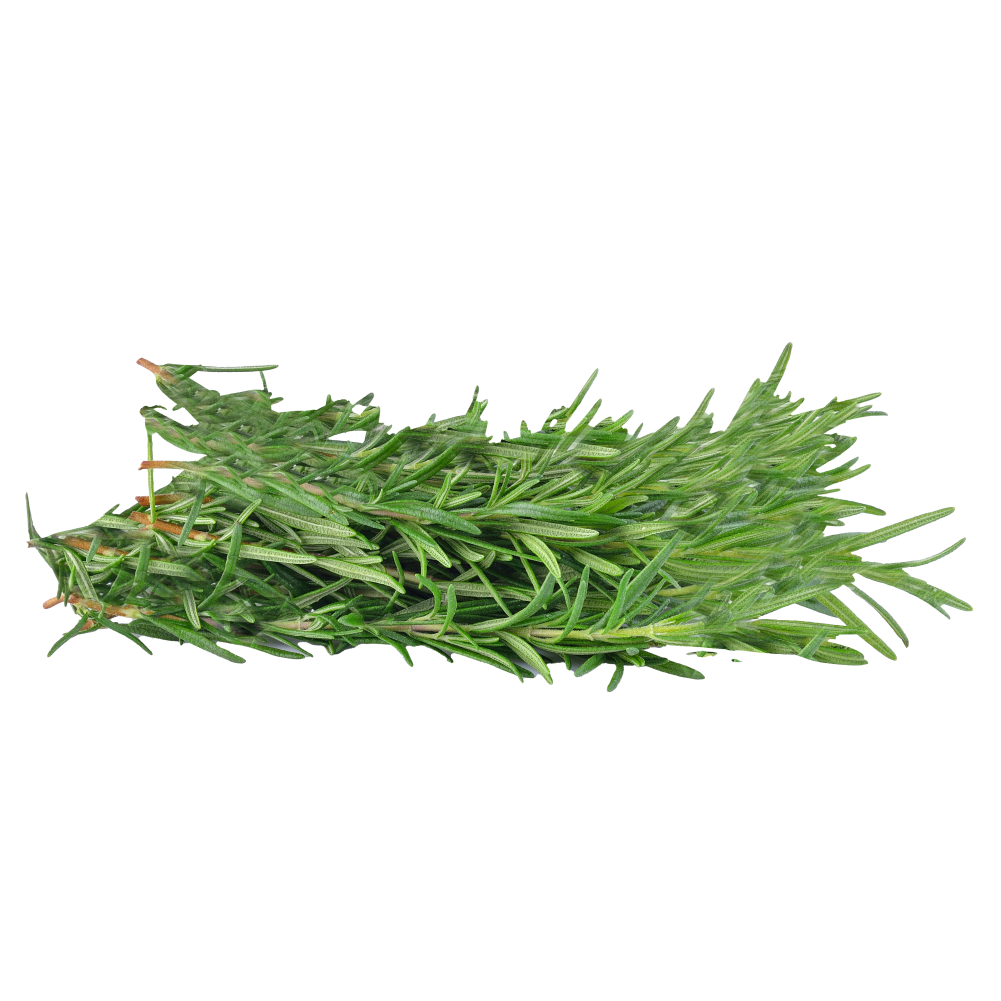 Rosemary Essential Oil